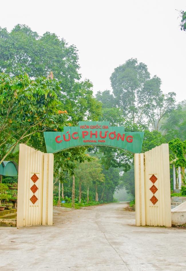Cổng rừng quốc gia Cúc Phương cạnh dự án Vedana Cúc Phương Resort - Ninh Bình