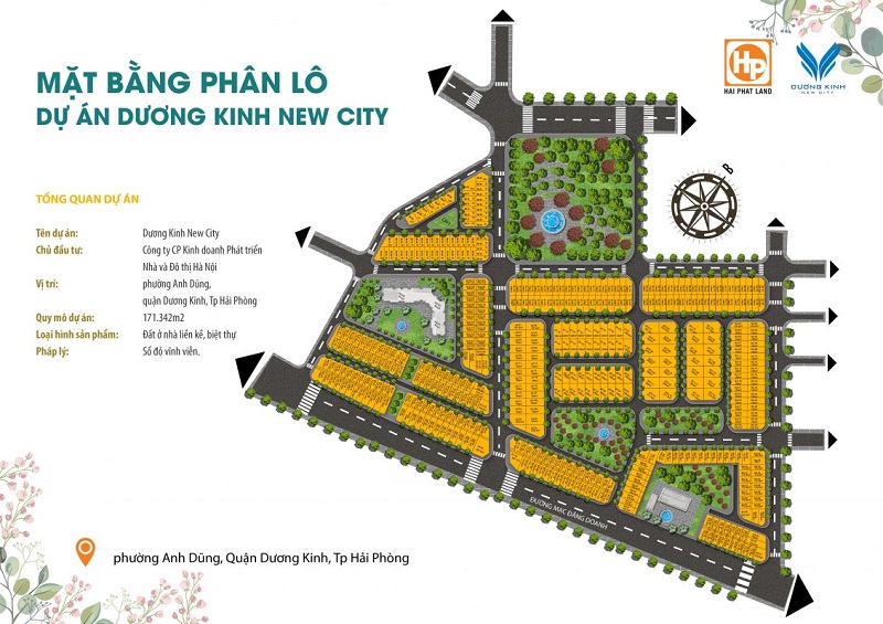Mặt bằng phân lô dự án Dương Kinh New City - Anh Dũng 6 Hải Phòng