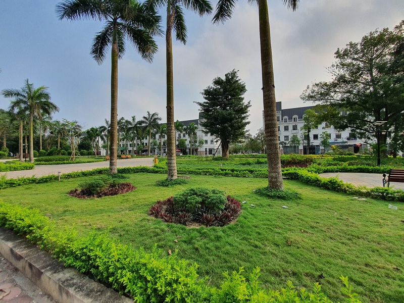 Khuôn viên cây xanh Lacasta Tower Văn Phú - Hà Đông 1