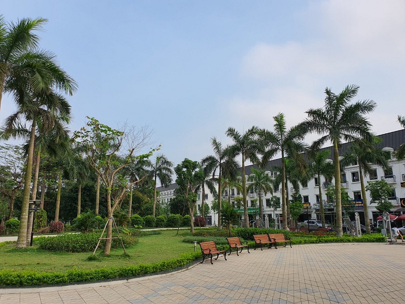 Khuôn viên cây xanh Lacasta Tower Văn Phú - Hà Đông 3