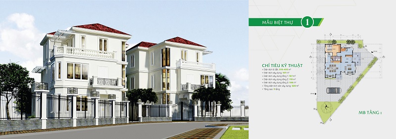 Thiết kế biệt thự 1 dự án Tây Mỗ Residences - Nam Từ Liêm