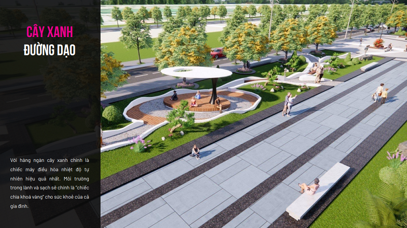 Cây xanh dự án Âu Cơ Park City - Phú Thọ