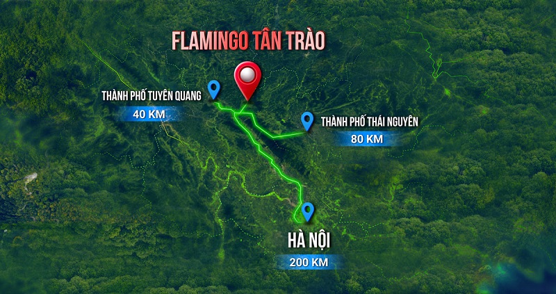 Liên kết vùng dự án Flamingo Tân Trào - Tuyên Quang