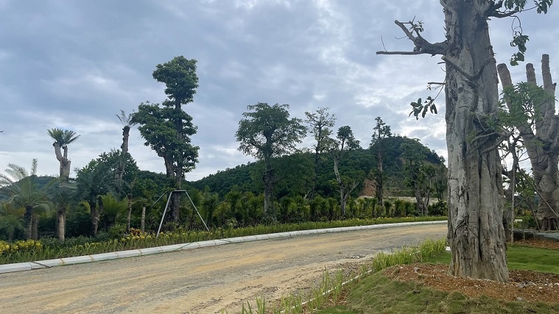 Ảnh thực tế 3 dự án The Forest Villas Quang Tiến - Hòa Bình