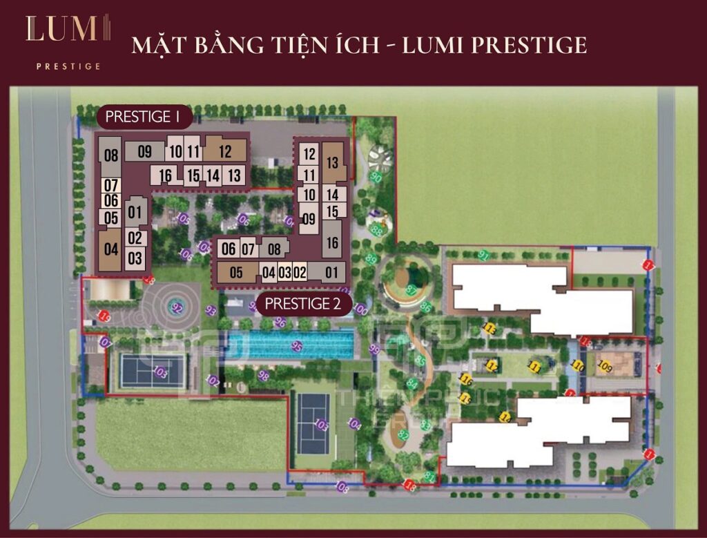 Mặt bằng tiện ích Lumi Prestige giai đoạn 2