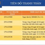 tien-do-thanh-toan-du-an-pcc1-thanh-xuan-44-trieu-khuc