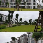tien-do-du-an-khai-son-city-long-bien (1)