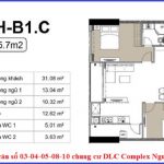 thiet-ke-can-3-4-5-8-10-chung-cu-dlc-complex-nguyen-tuan