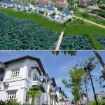 anh-thuc-te-3-du-an-vuon-vua-resort-phu-tho