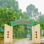 cong-rung-quoc-gia-cuc-phuong-resort-ninh-binh