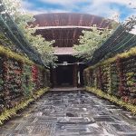 nha-hang-tre-vedana-resort-cuc-phuong-thang-4-2020