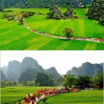 le-hoi-den-thai-vi-gan-du-an-life-resort-ninh-binh