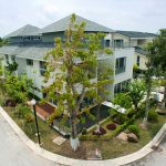 biet-thu-vuon-mai-ecopark