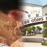 lang-nghe-canh-du-an-aroma-dong-ky-tu-son-bac-ninh