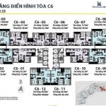 mat-bang-toa-c6-du-an-dcapitale-tran-duy-hung