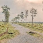 anh-thuc-te-me-linh-vista-city-2020 (2)