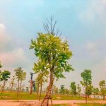 anh-thuc-te-me-linh-vista-city-2020 (3)