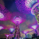 cong-vien-anh-sang-s3-s-premium-sky-oasis-ecopark