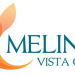 logo-me-linh-vista-city