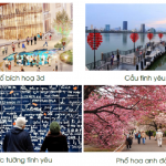 cac-tuyen-pho-sky-oasis-ecopark