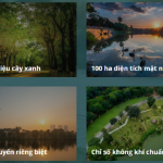 li-do-nen-song-va-dau-tu-shophouse-sky-oasis-ecopark