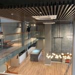 penthouse-sky-oasis-ecopark
