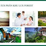 tien-ich-phan-khu-lux-forest-du-an-legacy-hill-hoa-binh