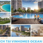 tien-ich-tai-vinhomes-ocean-park-gia-lam