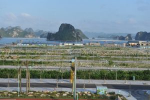 View vịnh Bái Tử Long từ khu đô thị Phương Đông