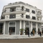 hinh-anh-thuc-te-du-an-calyx-residence-319-uy-no-dong-anh