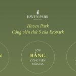 haven-park-ecopark-cong-vien-trong-dai-cong-vien