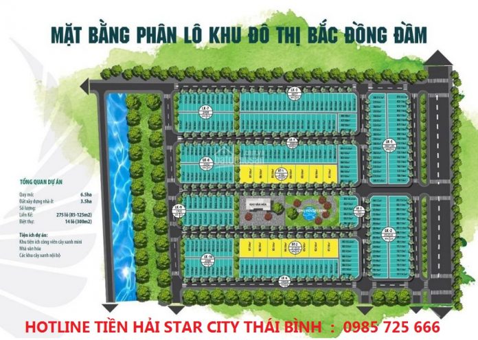 Mặt bằng phân lô Tiền Hải Star City Thái Bình - Bắc Đồng Đầm