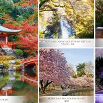 tien-ich-the-landmark-onsen-ecopark