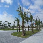 anh-thuc-te-tien-do-khu-do-thi-tay-nam-sach-hai-duong-5