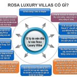 li-do-nen-dau-tu-ngay-dat-nen-rosa-luxury-villas-quang-nam