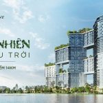 phoi-canh-sky-forest-ecopark