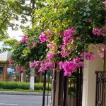 anh-thuc-te-essensia-splendora-mailand-hanoi-city-bac-an-khanh (5)