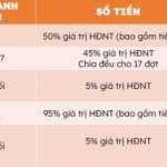 tien-do-thanh-toan-cat-tuong-park-house-binh-phuoc