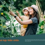 tien-ich-1-cat-tuong-park-house-binh-phuoc