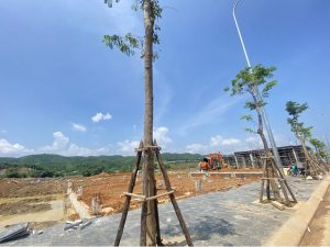Ảnh thực tế 3 tiến độ dự án Văn Yên EverGreen Yên Bái