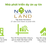 chu-dau-tu-novaland-giai-thuong