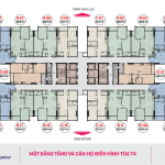 mat-bang-toa-t4-thang-long-capital-phuc-ha-hoai-duc